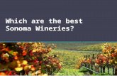 Which are the best Sonoma Wineries