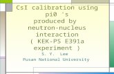 CsI calibration using pi0 's produced by  neutron-nucleus interaction ( KEK-PS E391a experiment )
