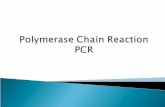 Polymerase Chain Reaction PCR