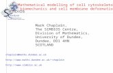 Mark Chaplain, The SIMBIOS Centre, Division of Mathematics, University of Dundee,  Dundee, DD1 4HN