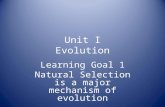 Unit I Evolution