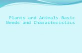Plants and Animals Basic Needs and Characteristics