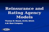 Reinsurance and Rating Agency Models