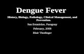 Dengue Fever  History, Biology, Pathology, Clinical Management, and Prevention.