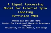 A Signal Processing Model for Arterial Spin Labeling  Perfusion fMRI
