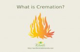 What is cremation