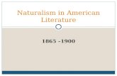 Naturalism in American Literature