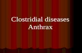 Clostridial diseases Anthrax
