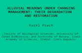 ALLUVIAL MEADOWS UNDER CHANGING MANAGEMENT: THEIR DEGRADATION  AND RESTORATION