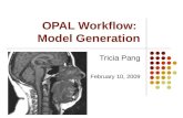 OPAL Workflow:  Model Generation