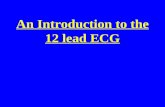 An Introduction to the 12 lead ECG