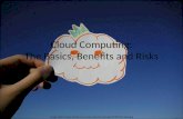 Cloud Computing: The Basics, Benefits and Risks
