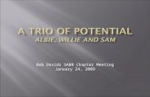 A trio  oF  potential AlBie , Willie and SAM