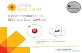 A Brief Introduction to SDN and  OpenDaylight