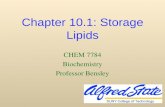 Chapter 10.1: Storage Lipids