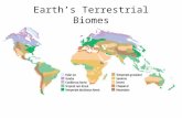 Earth’s Terrestrial Biomes