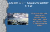 Chapter  19-1  ~   Origin and History of Life