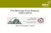 The Message from Nagoya,  CBD COP10