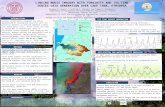 LINKING MODIS IMAGERY WITH TURBIDITY AND TSS TIME SERIES DATA GENERATION OVER LAKE TANA, ETHIOPIA