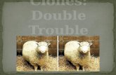 Animal Clones: Double Trouble