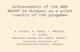Achievements of the WHO NEHAP in Hungary as a pilot country of the progamme