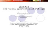 South Asia Intra-Regional Opportunities and Challenges