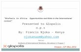 “ Biofuels in Africa :  Opportunities and Risks in the International context”
