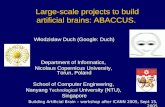 Large-scale projects to build artificial brains :  ABACCUS.