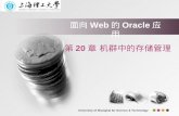 面向 Web 的 Oracle 应用