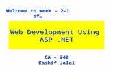 Web Development Using  ASP .NET