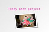 Teddy bear project