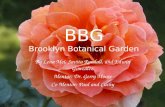 BBG Brooklyn Botanical Garden