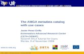 The AMGA metadata catalog  with use cases