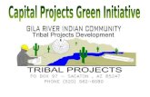 Capital Projects Green Initiative