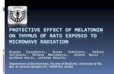 Protective effect of melatonin on thymus of rats exposed to microwave radiation