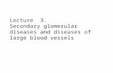 Lecture  3.  Secondary glomerular diseases and diseases of large blood vessels