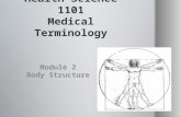 Health Science 1101 Medical Terminology