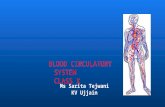 Blood circulatory System  Class X