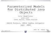 Parameterized Models for Distributed Java Objects