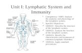 Unit I: Lymphatic System and Immunity