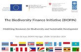 The Biodiversity Finance Initiative (BIOFIN)