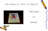 THE KOALA’S TRIP TO BRAZIL