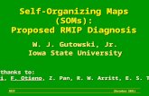Self-Organizing Maps (SOMs): Proposed RMIP Diagnosis