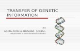 TRANSFER OF GENETIC INFORMATION