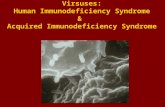Virsuses: Human Immunodeficiency Syndrome &  Acquired Immunodeficiency Syndrome