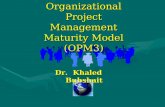 Organizational Project Management Maturity Model (OPM3)