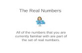 The Real Numbers