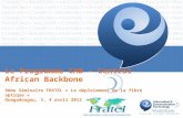 Le  Programme  CAB – Central African Backbone