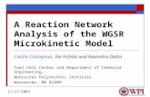 A Reaction Network Analysis of the WGSR Microkinetic Model