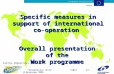 Specific measures in support of international co-operation
